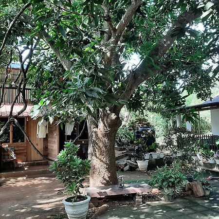 Serenity House In Dambulla Kültér fotó